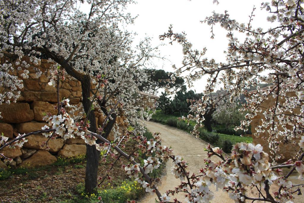 Agriturismo Feudo Muxarello Villa Aragona Exteriör bild