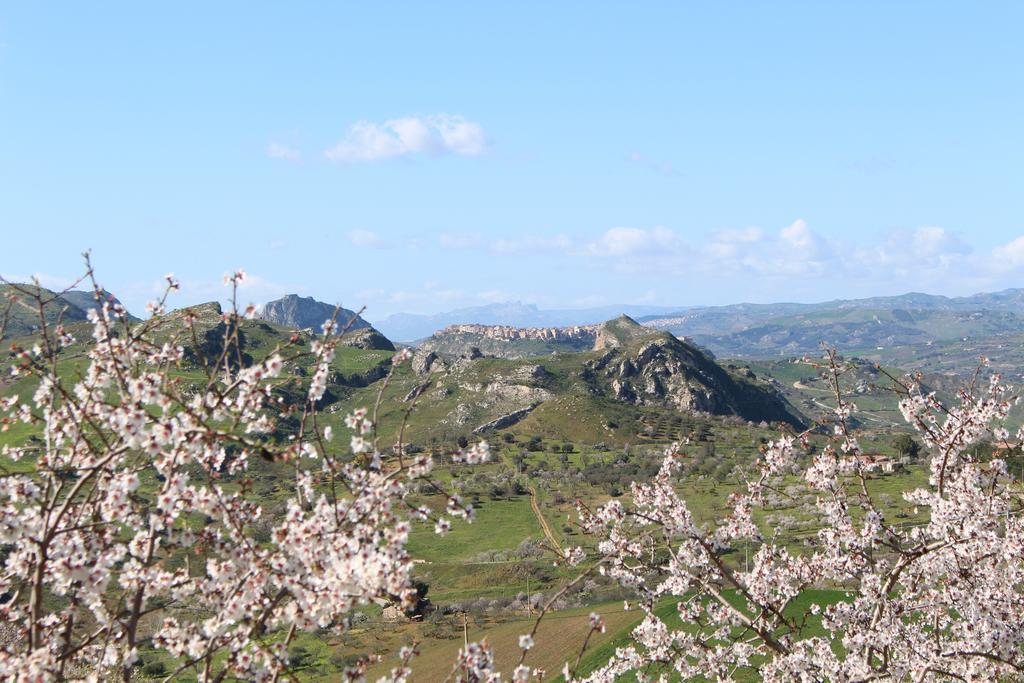 Agriturismo Feudo Muxarello Villa Aragona Exteriör bild